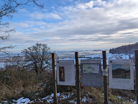 Rund um die Madenburg,
21. Januar 2024